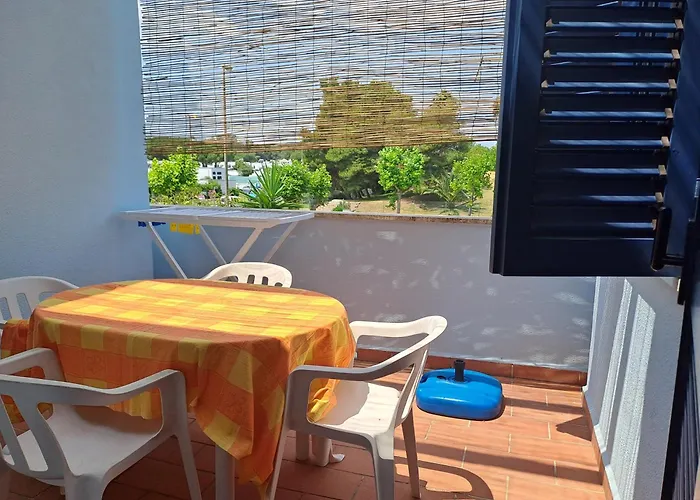 Dei Pini トッレ・デル・オルソ